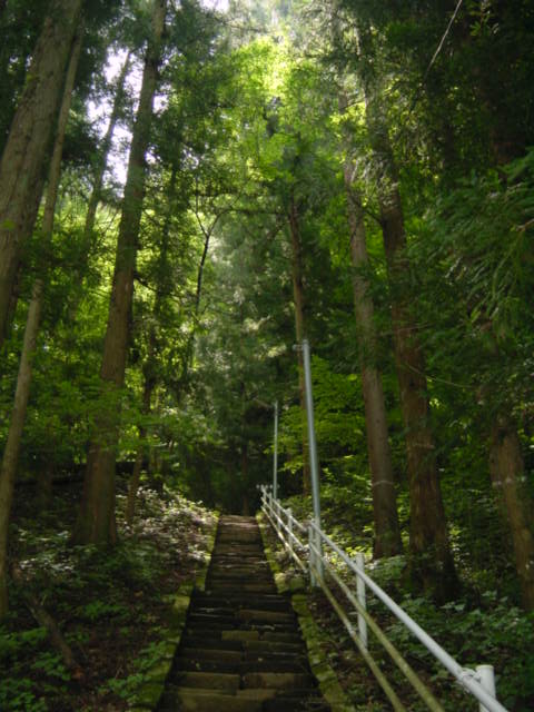 Dsc02422